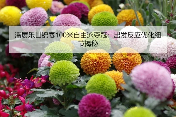 潘展乐世锦赛100米自由泳夺冠：出发反应优化细节揭秘