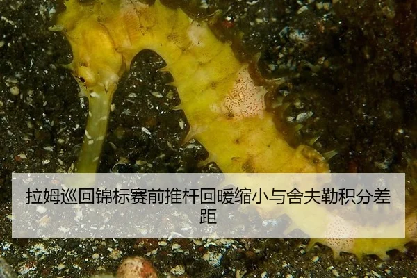 la-mu-xun-hui-jin-biao-sai-qian-tui-gan-hui-nuan-suo-xiao-yu-she-fu-lei-ji-fen-cha-ju-2-283.jpg