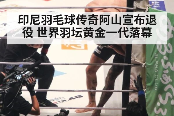 印尼羽毛球传奇阿山宣布退役 世界羽坛黄金一代落幕
